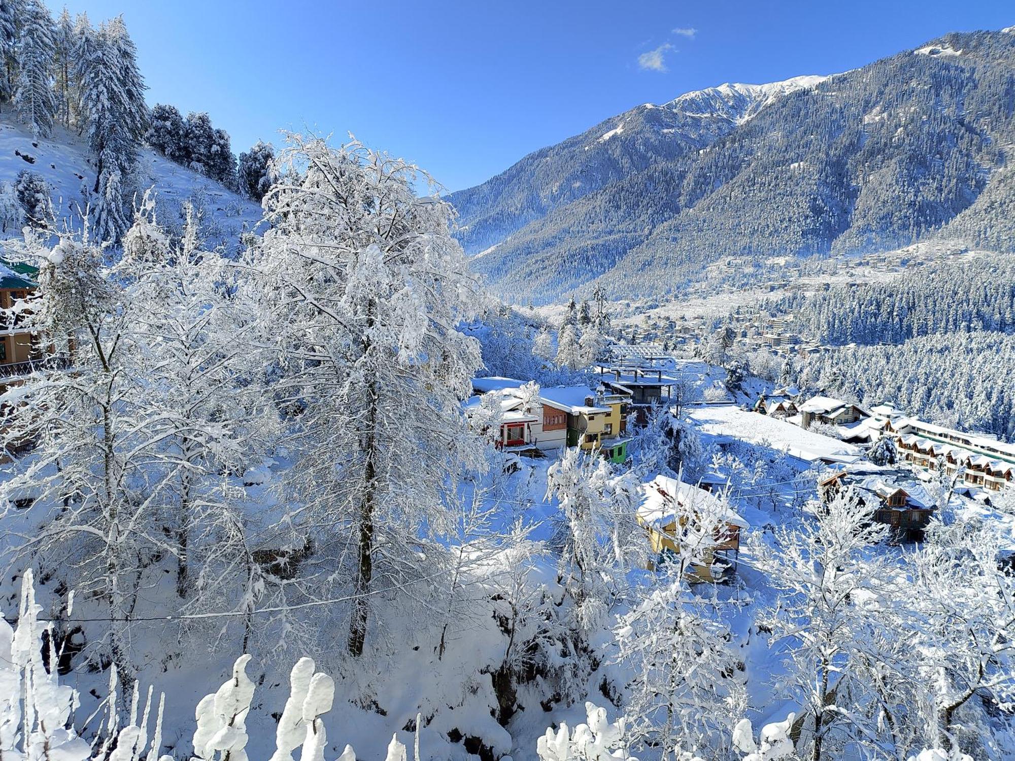 Forest View Homestay Vashist Eksteriør bilde