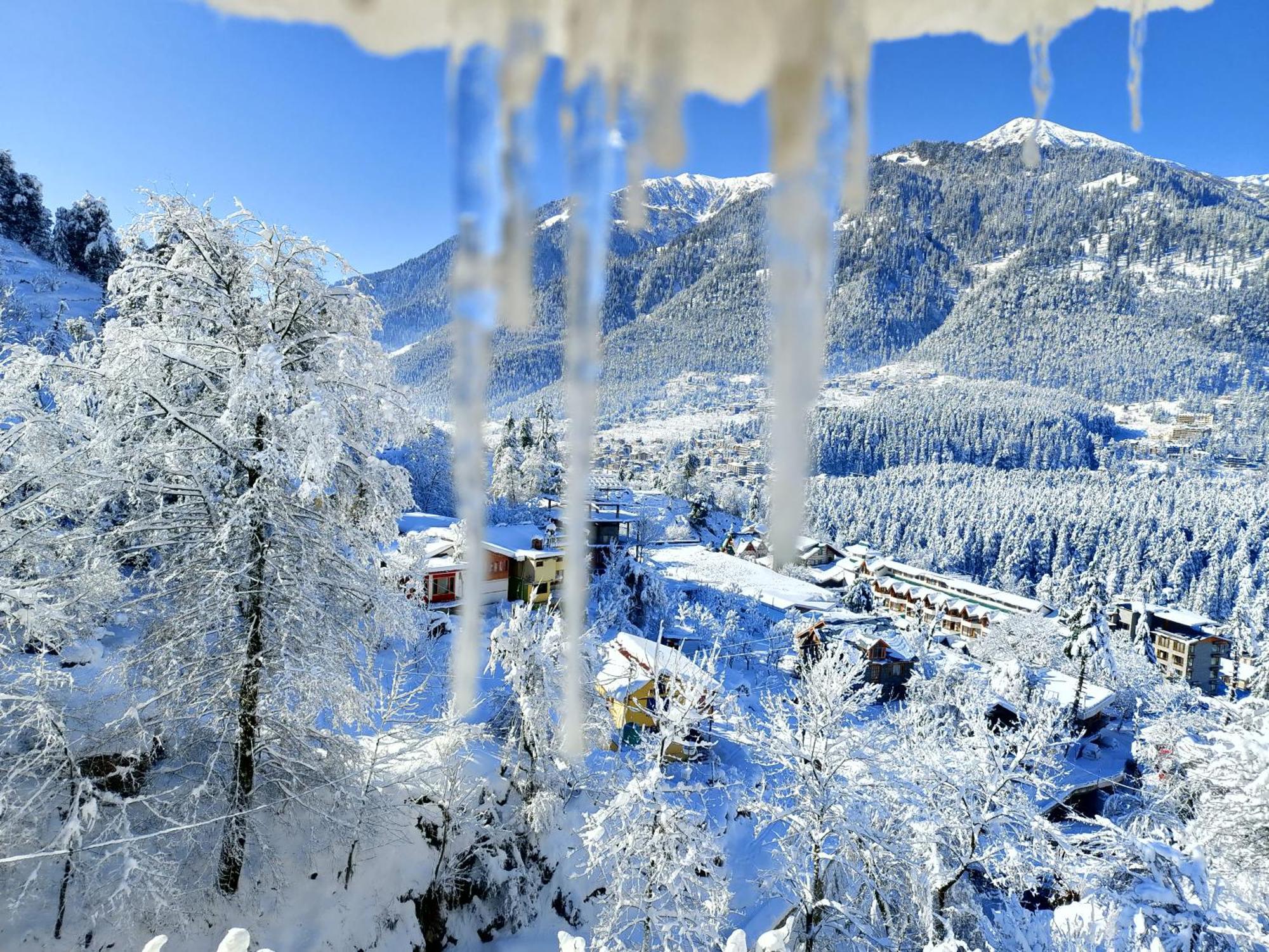 Forest View Homestay Vashist Eksteriør bilde